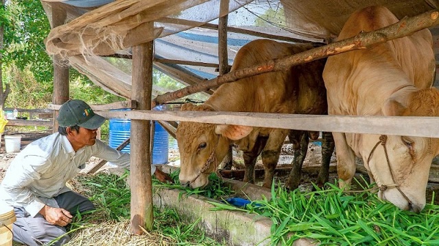 hon-2287-ty-dong-tiep-suc-cho-ho-ngheo-va-doi-tuong-chinh-sach-ca-mau