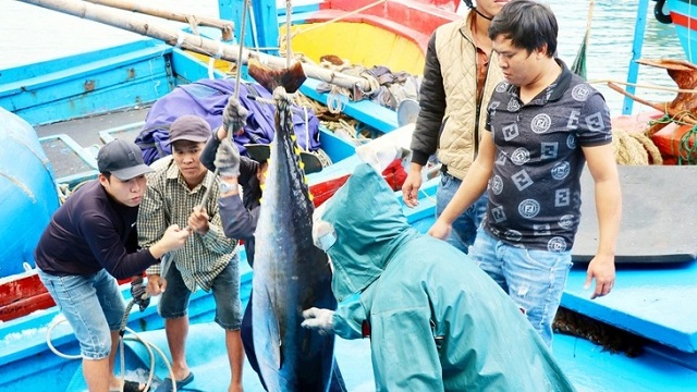 nhieu-doanh-nghiep-thuy-san-vat-lon-truoc-suc-ep-tu-thi-truong-my
