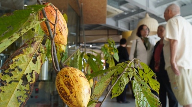 khach-du-lich-hao-hung-trai-nghiem-lam-chocolate-ben-song-tien