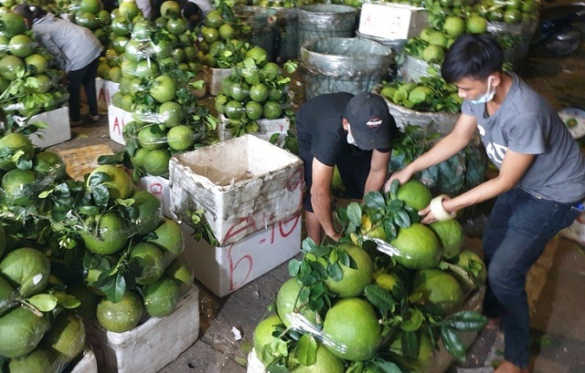 nuoc-ep-buoi-do-uong-giau-vitamin-khoang-chat