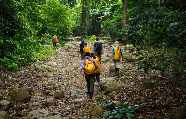 so-du-lich-ninh-binh-khuyen-cao-sau-vu-viec-o-rung-cuc-phuong