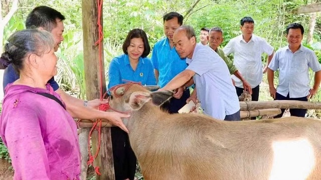 thiet-thuc-ho-tro-sinh-ke-cho-ho-ngheo-ho-can-ngheo