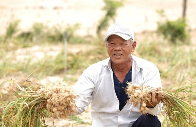 dong-hanh-cung-ba-con-nong-dan-nam-ngu-quang-ba-dac-san-toi-ly-son