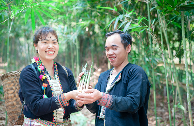 ho-tro-chuyen-doi-so-cho-doanh-nghiep-nho-va-vua-tinh-lao-cai-son-la