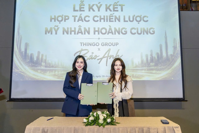 thingo-group-20