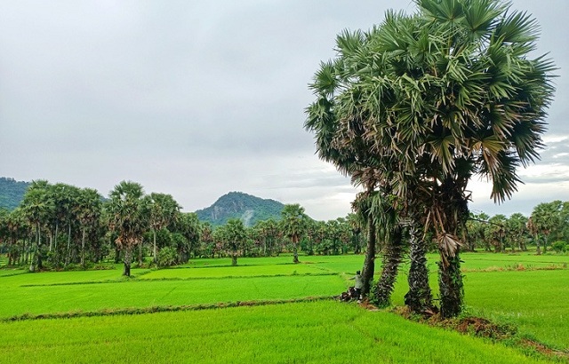 ve-an-giang-mua-nuoc-noi-long-nhu-muon-reo-vui