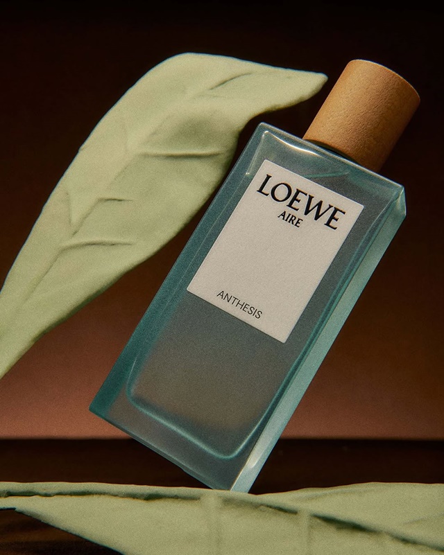 Loewe-Botanical-Rainbow-20-65