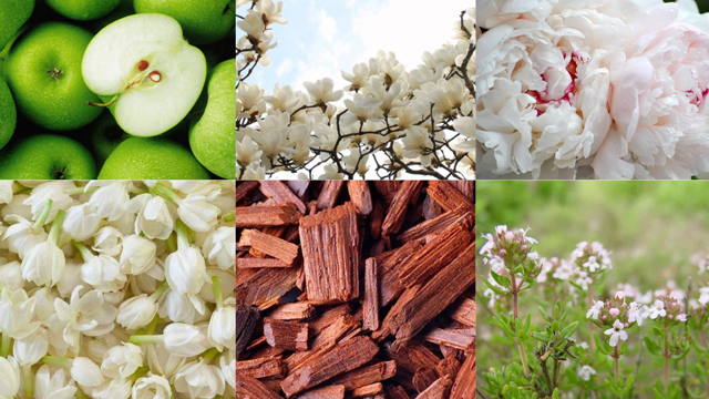 Moschino-Toy-2-25-84