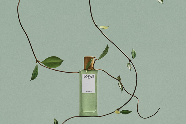 loewe-13-4-1
