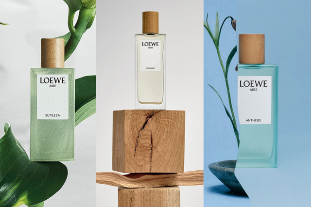 loewe-18-6-2