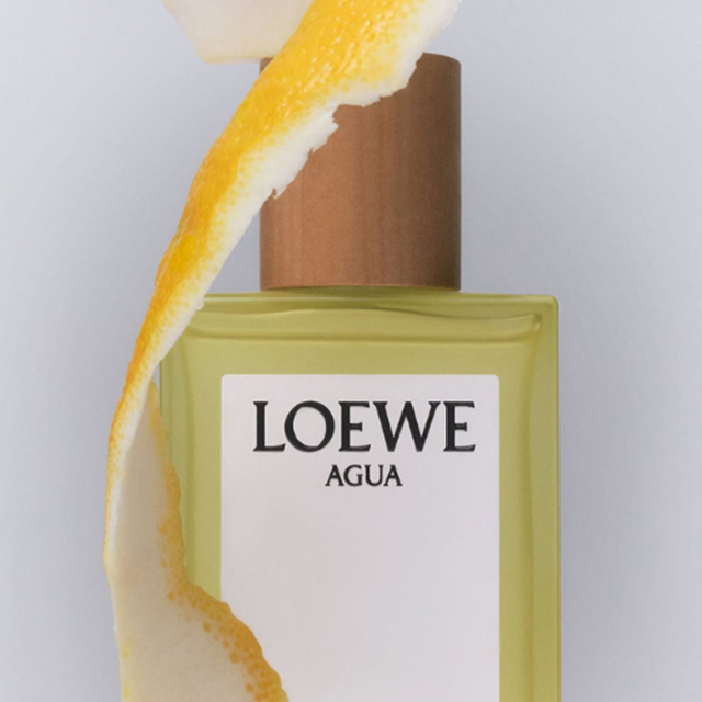 loewe-22-85